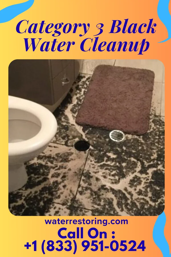 Category 3 Black Water Cleanup in Johnstown, PA