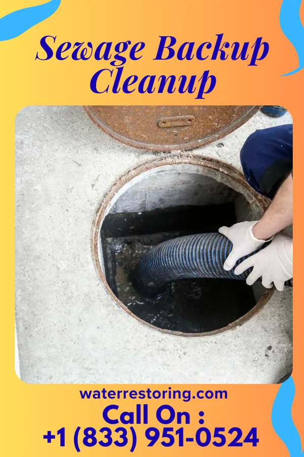 Sewage Backup Cleanup in Johnstown, PA